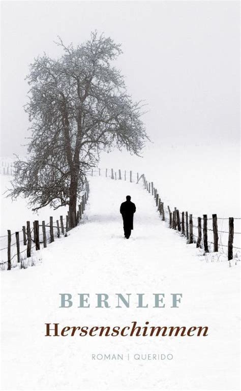 Hersenschimmen J Bernlef