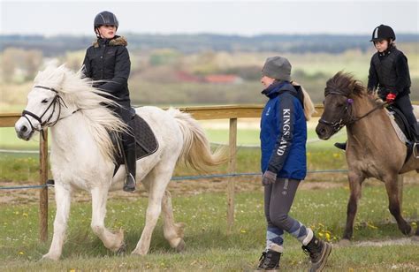 hest og pony rideskolen