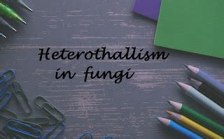heterothallism in fungi ppt