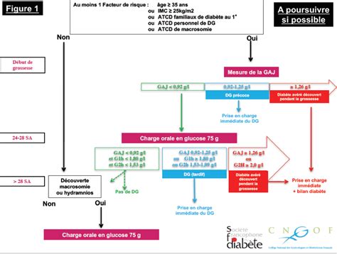 blackjack online: Apostando nas Melhores Apostas Desportivas Online com a Garantia de Segurança dos Fundos - Foto 2