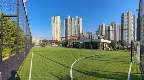 premier bet: Apostas Desportivas Online com Garantia de Segurança Financeira para Todos os Jogadores - Foto 2