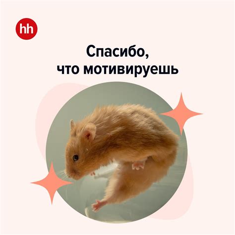 th?q=hh+ru+работа+архангельск+медсестра