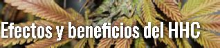 hhc beneficios
