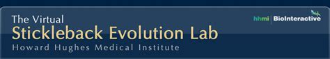 Hhmi Virtual Stickleback Evolution Lab Answer Key