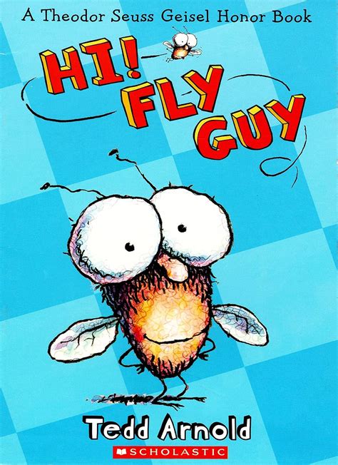 Hi Fly Guy