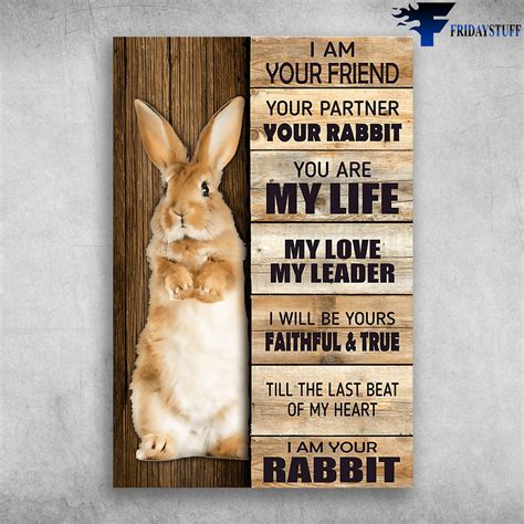 hi_i_am_your_rabbit