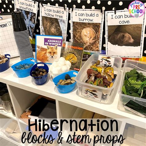 Hibernation Centers And Activities Pocket Of Preschool Hibernation Science Experiments - Hibernation Science Experiments