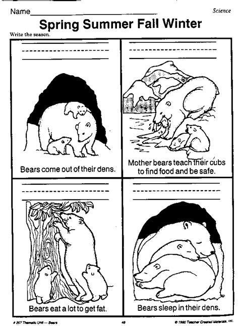 Hibernation Worksheets For Preschool   Hibernation Seasons Activity - Hibernation Worksheets For Preschool