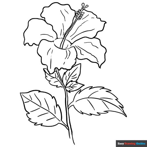 Hibiscus Coloring Page Easy Drawing Guides Hibiscus Flower Coloring Pages - Hibiscus Flower Coloring Pages