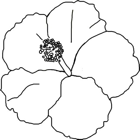 Hibiscus Coloring Page Free Printable Coloring Pages Hibiscus Flower Coloring Pages - Hibiscus Flower Coloring Pages
