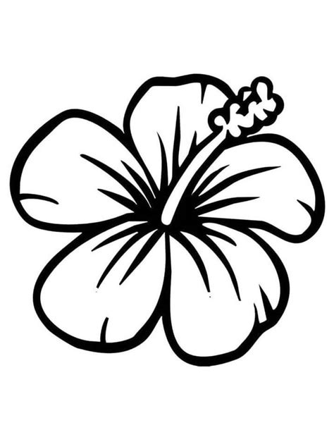 Hibiscus Flower Coloring Page Coloring Pages For Kids Hibiscus Flower Coloring Pages - Hibiscus Flower Coloring Pages