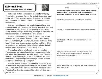 Hide And Seek 4th Grade Reading Comprehension Worksheet Hide And Seek Worksheet - Hide And Seek Worksheet