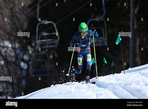 hideyuki oka biography samples