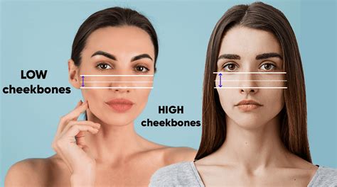 High Cheek Bones