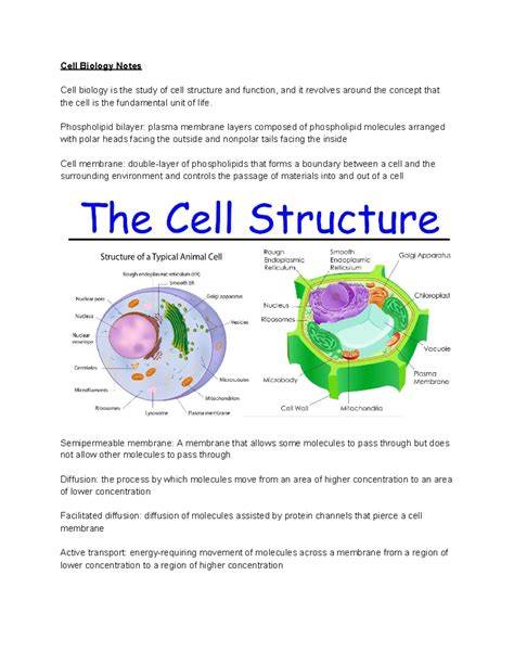 high school biology cell structure concept map