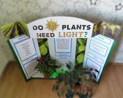 High School Plant Biology Projects Lessons Activities Science Plant Science Activities - Plant Science Activities