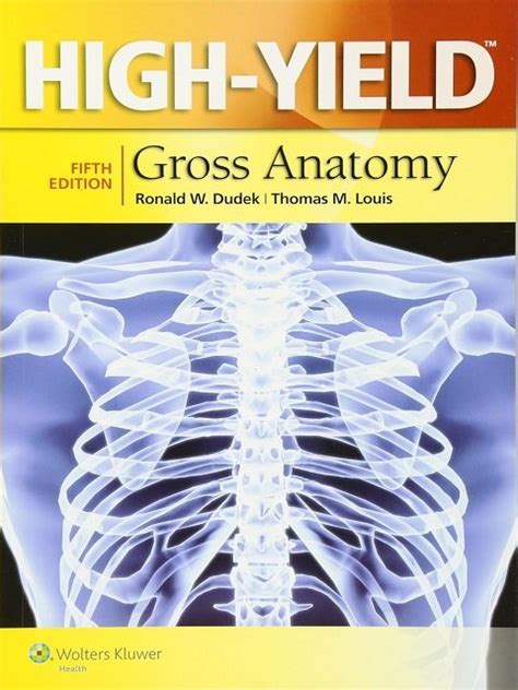 high yield gross anatomy