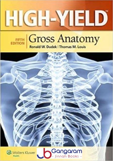 Full Download High Yield Gross Anatomy 5Th Edition 