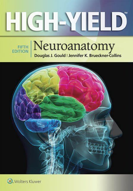 Full Download High Yield Neuroanatomy 
