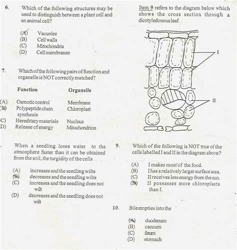Download Higher Human Biology Past Papers 2001 