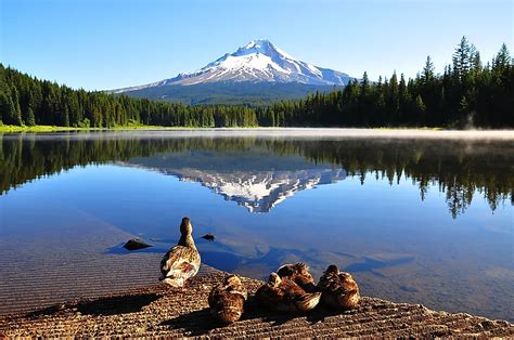 highest mountain in oregon