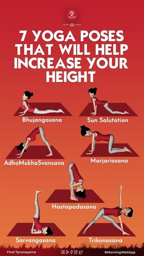 hight grow yoga