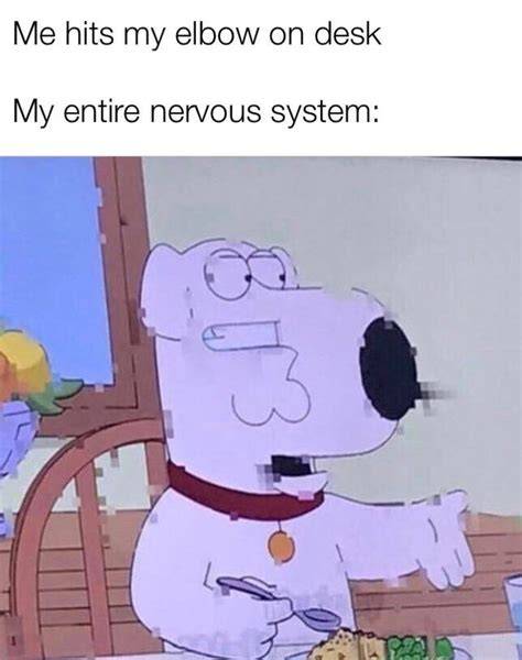 Hilarious Dank Memes