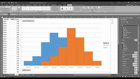 Histograms In Excel The Company Rocks Histogram Practice Worksheet - Histogram Practice Worksheet