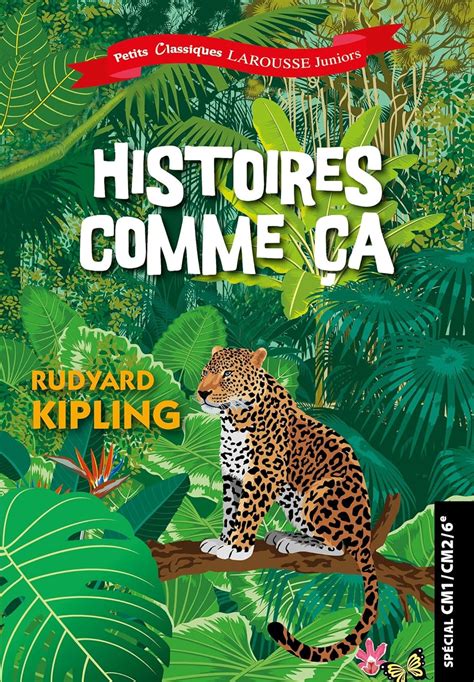 histoires comme a a sa c lectionna c plan lecture