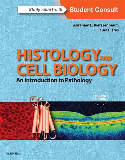 Read Online Histology And Cell Biology An Introduction To Pathology 4E 4Th Edition By Kierszenbaum Md Phd Abraham L Tres Md Phd Laura 2015 Paperback 