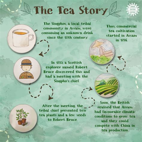 History Of Tea And The Science Behind It Science Of Tea - Science Of Tea