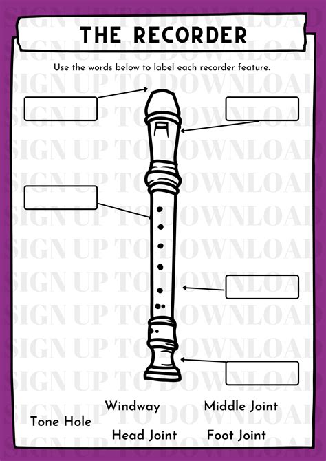 History Of The Recorder Worksheets 99worksheets First Grade Science Recording Worksheet - First Grade Science Recording Worksheet