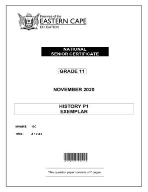Download History Grade 11 Caps Sample Question Papers 