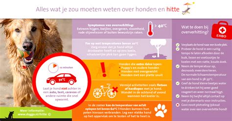 hitte en honden