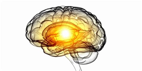 hjärnans plasticitet stroke