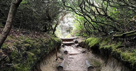 hobbit trail oregon