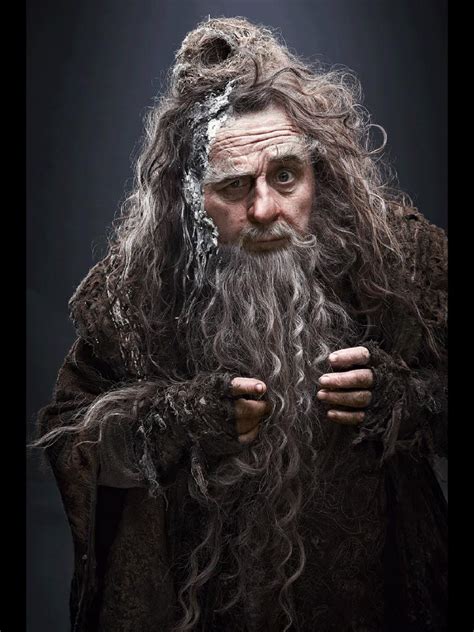 Hobbit Wizard Radagast
