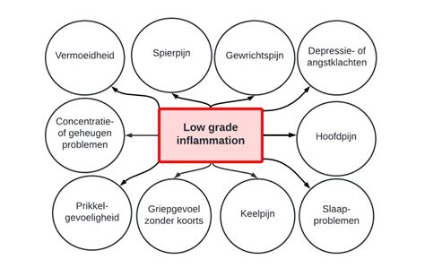 hoe ferritine verhogen