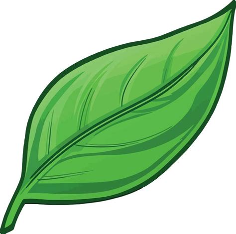 Hojas De Dibujo