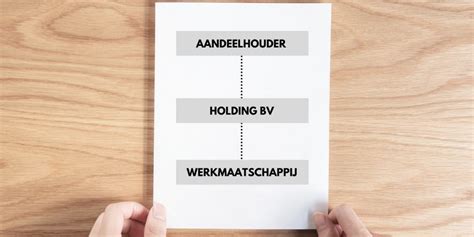 holdingstructuur betekenis