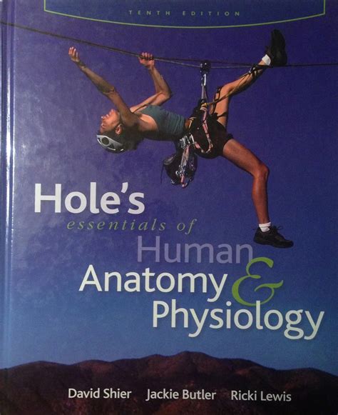 Hole Essentials Of Human Anatomy And Physiology 10th Edition