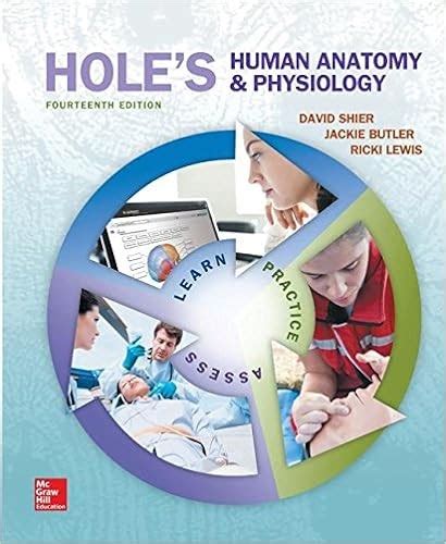 Read Online Hole Human Anatomy And Physiology Study Guide File Type Pdf 