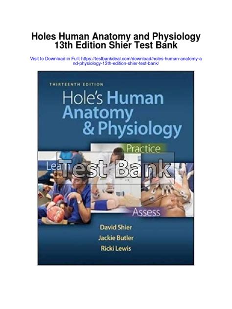 Download Holes Anatomy And Physiology 13Th Edition Digestive System 