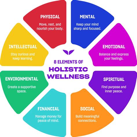 Holistic Guide To Wellness