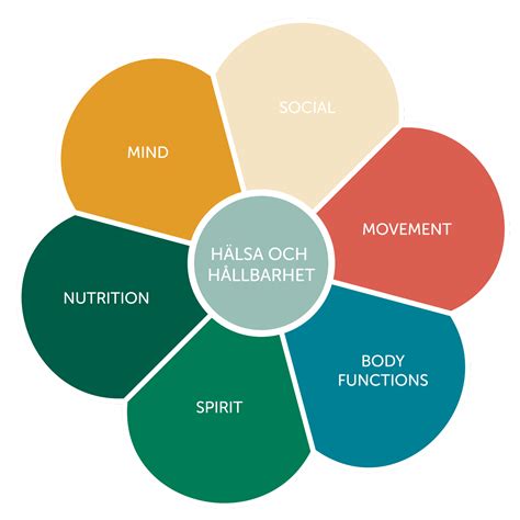 holistiskt perspektiv