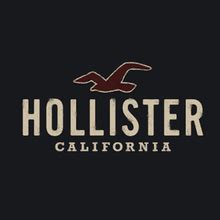 hollister欧美女装-hollister欧美女装批发、促销价格、产地货源 - 阿 …