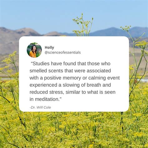 Holly Essential Oil Education On Instagram Quot These Soap Bubble Science - Soap Bubble Science