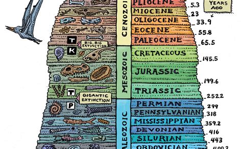 Read Online Holt Biology Study Guide The Fossil Record 