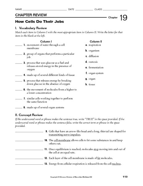 Full Download Holt Biology Worksheets And Answers 