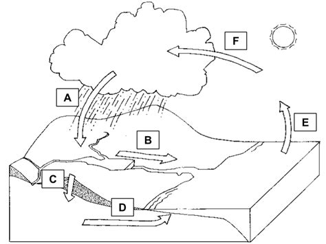 Read Holt Science And Technology Water Cycle Diagram 